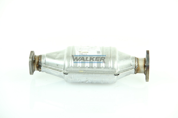 Katalyzátor WALKER