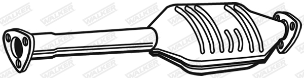 Katalyzátor WALKER