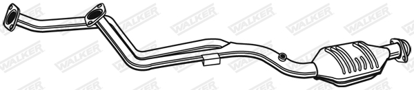 Katalyzátor WALKER