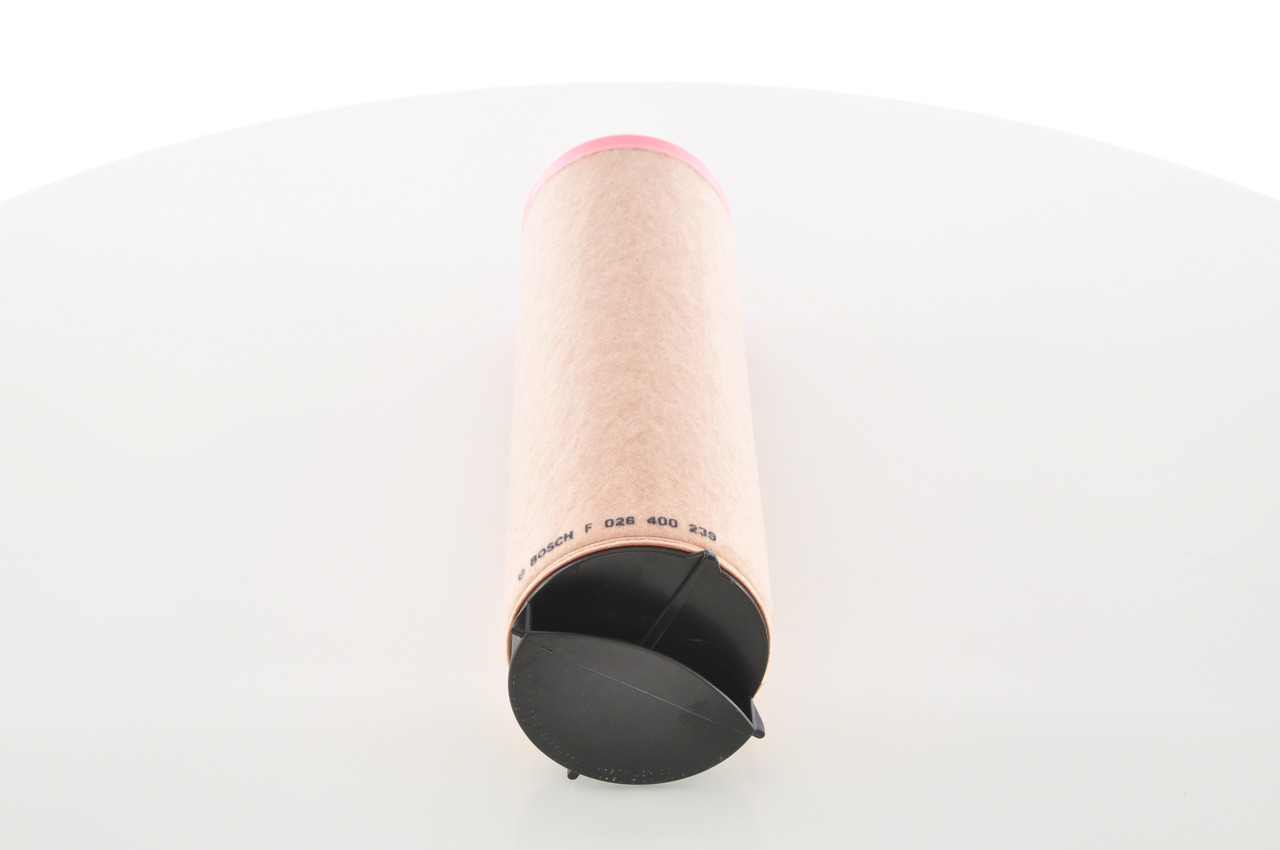 Filter sekundárneho vzduchu BOSCH