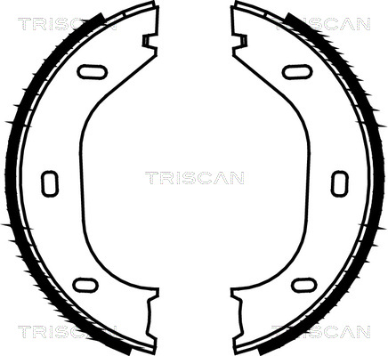 Sada brzd. čeľustí parkov. brzdy TRISCAN