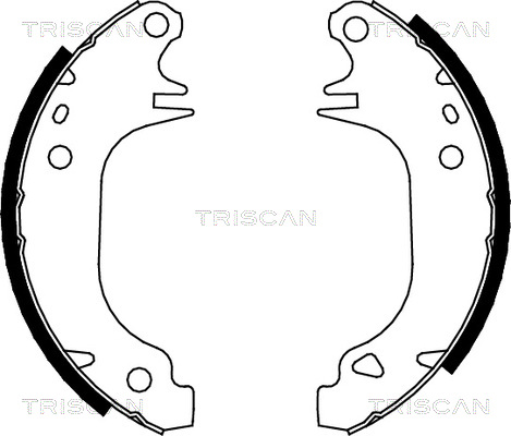 Sada brzdových čeľustí TRISCAN