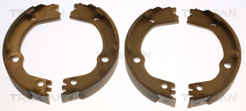 Sada brzd. čeľustí parkov. brzdy TRISCAN
