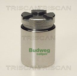Piest brzdového strmeňa TRISCAN