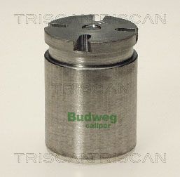 Piest brzdového strmeňa TRISCAN