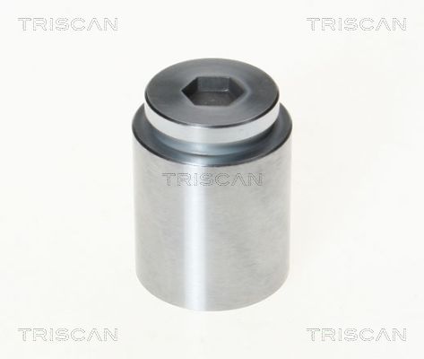 Piest brzdového strmeňa TRISCAN