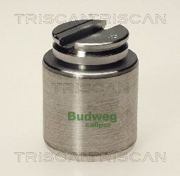 Piest brzdového strmeňa TRISCAN