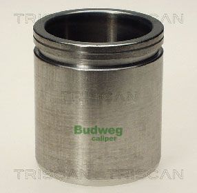 Piest brzdového strmeňa TRISCAN