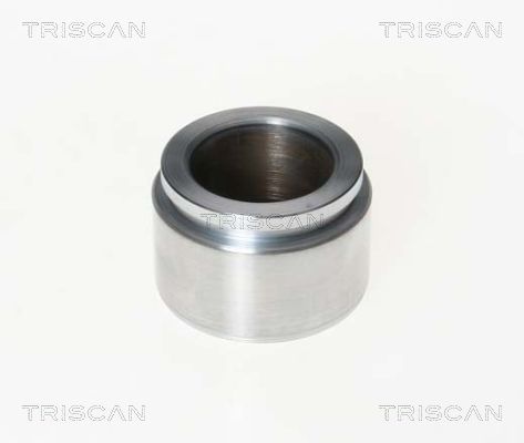 Piest brzdového strmeňa TRISCAN