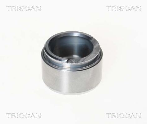 Piest brzdového strmeňa TRISCAN