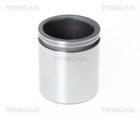 Piest brzdového strmeňa TRISCAN