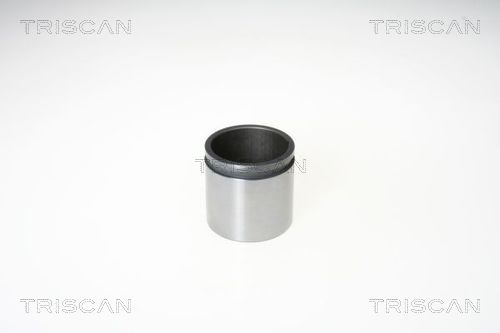 Piest brzdového strmeňa TRISCAN