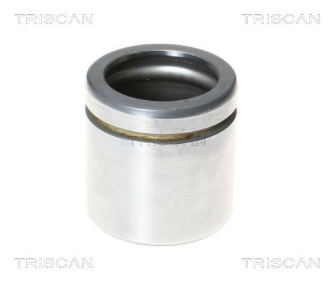 Piest brzdového strmeňa TRISCAN