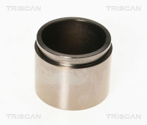 Piest brzdového strmeňa TRISCAN