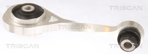 Ulożenie motora TRISCAN