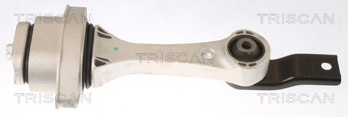 Ulożenie motora TRISCAN