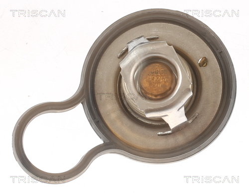 Termostat chladenia TRISCAN