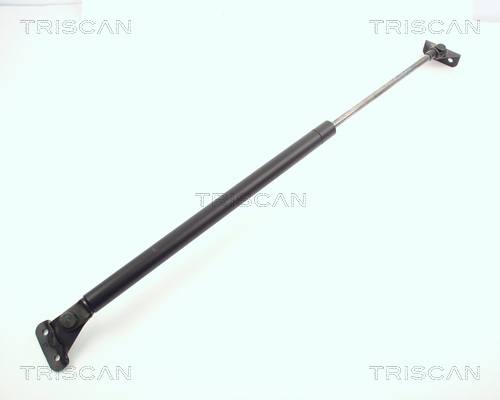 Pneumatická prużina, Batożinový/nákladný priestor TRISCAN