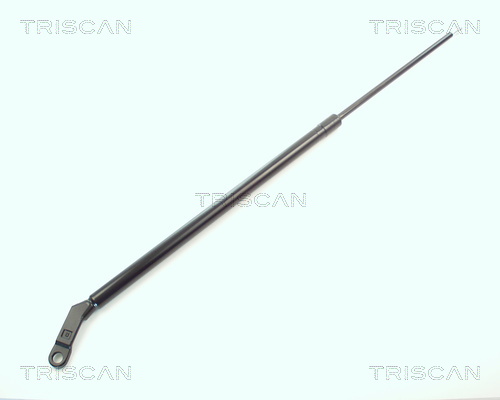 Pneumatická prużina, Batożinový/nákladný priestor TRISCAN