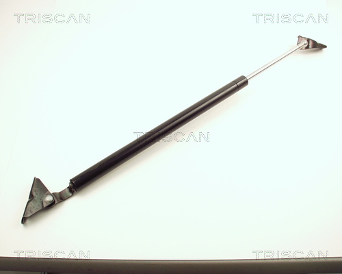 Pneumatická prużina, Batożinový/nákladný priestor TRISCAN