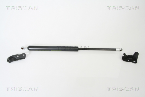 Pneumatická prużina, Batożinový/nákladný priestor TRISCAN