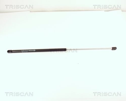 Pneumatická prużina, Batożinový/nákladný priestor TRISCAN