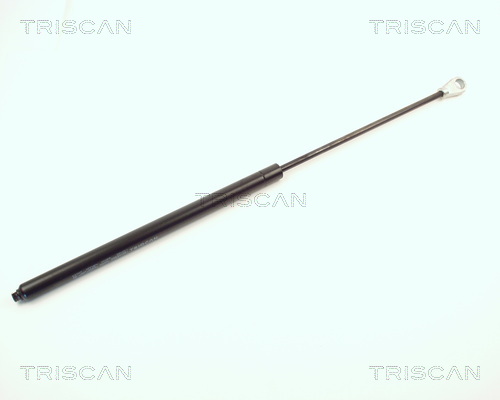 Pneumatická prużina, Batożinový/nákladný priestor TRISCAN