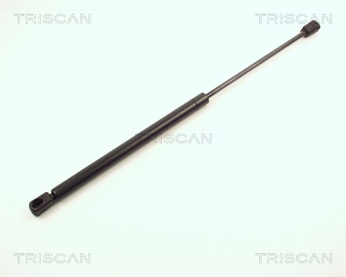Pneumatická prużina, Batożinový/nákladný priestor TRISCAN