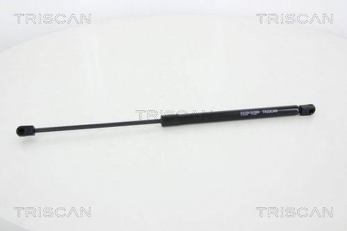 Pneumatická prużina, Batożinový/nákladný priestor TRISCAN