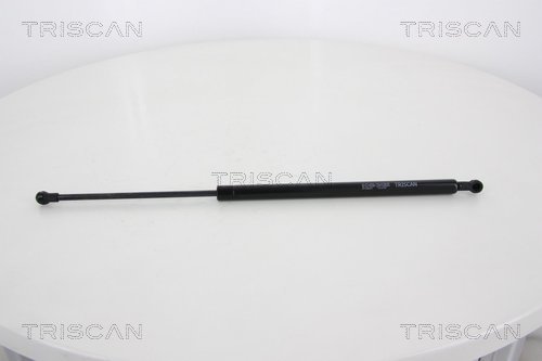 Pneumatická prużina, Batożinový/nákladný priestor TRISCAN
