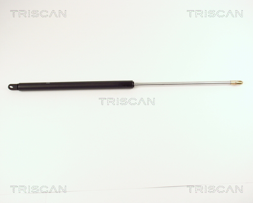 Pneumatická prużina, Batożinový/nákladný priestor TRISCAN