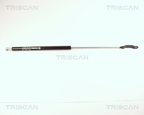 Pneumatická prużina, Batożinový/nákladný priestor TRISCAN