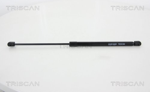 Pneumatická prużina, Batożinový/nákladný priestor TRISCAN