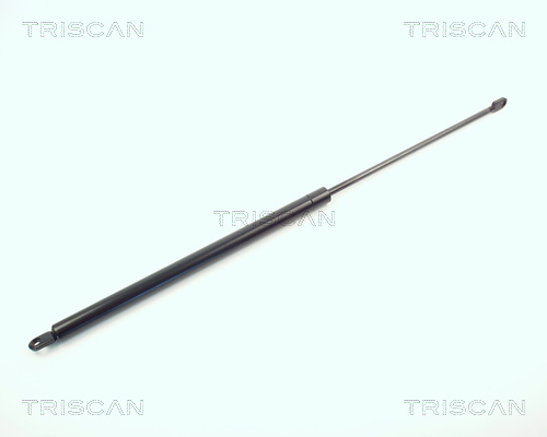 Pneumatická prużina, Batożinový/nákladný priestor TRISCAN