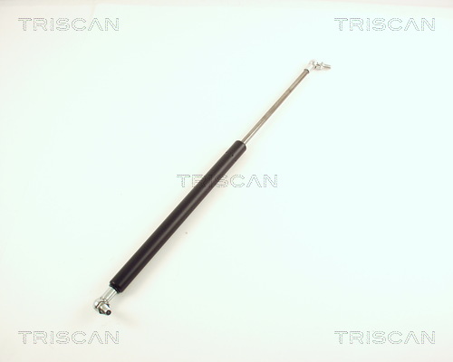 Pneumatická prużina, Batożinový/nákladný priestor TRISCAN