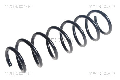 Prużina podvozku TRISCAN