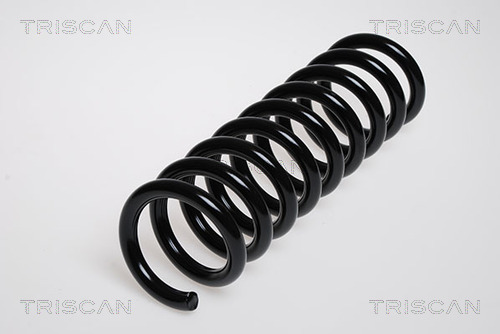 Prużina podvozku TRISCAN