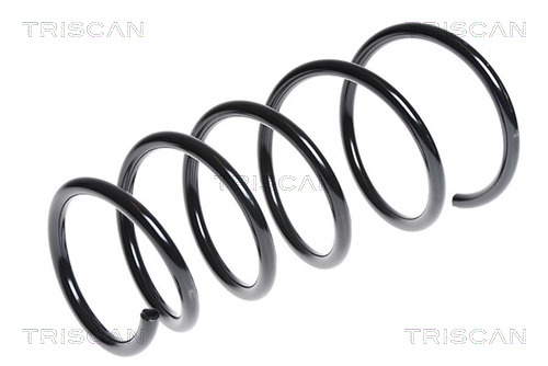 Prużina podvozku TRISCAN