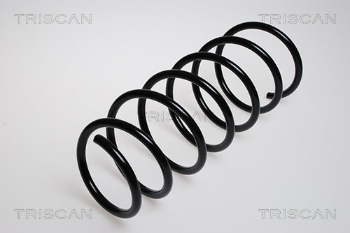 Prużina podvozku TRISCAN