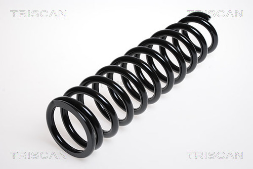 Prużina podvozku TRISCAN