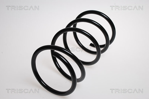 Prużina podvozku TRISCAN