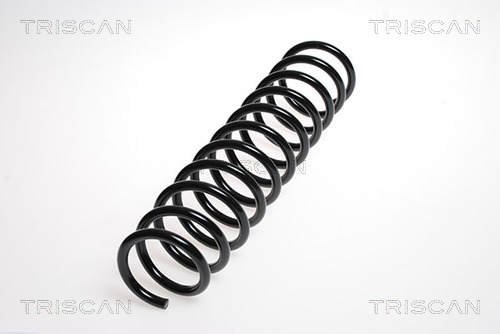 Prużina podvozku TRISCAN