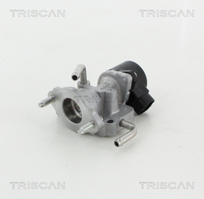 AGR - Ventil TRISCAN