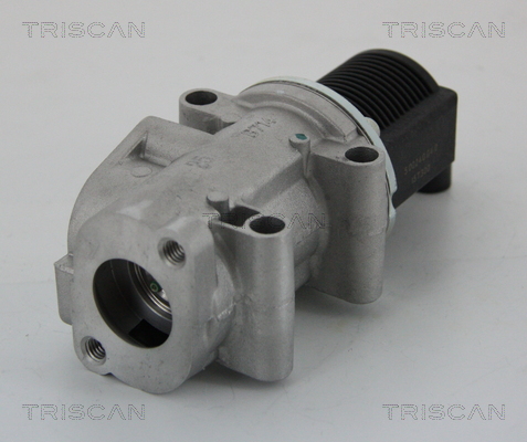AGR - Ventil TRISCAN