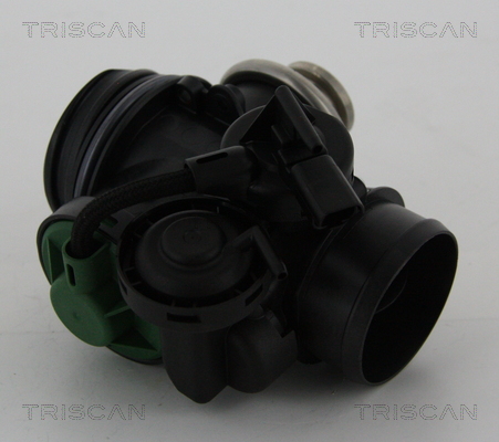 AGR - Ventil TRISCAN