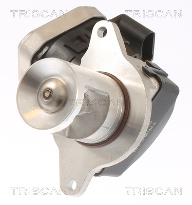 AGR - Ventil TRISCAN