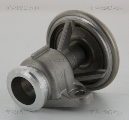 AGR - Ventil TRISCAN