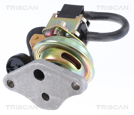AGR - Ventil TRISCAN