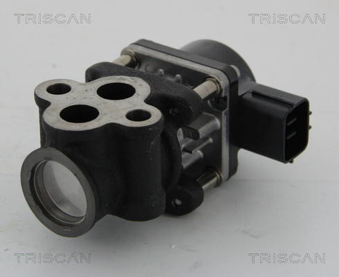 AGR - Ventil TRISCAN