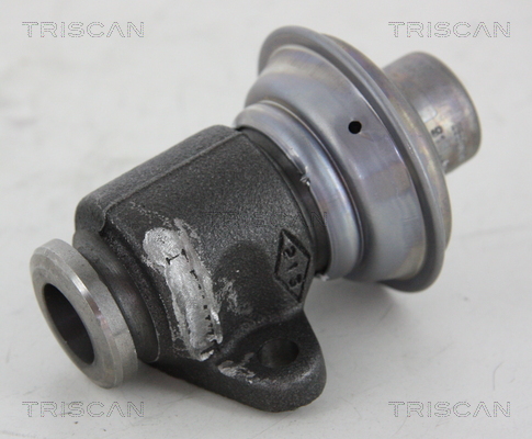 AGR - Ventil TRISCAN